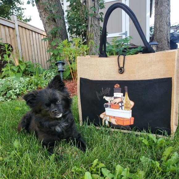 Custom Canvas Tote Bag, Large Size - Friday Theme, Black or Cream Tote - Picture 13 of 16